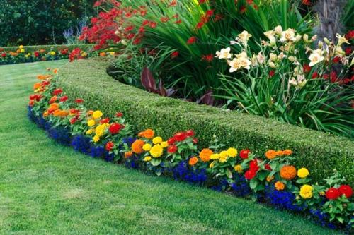 Какие цветы сажать весной, чтобы цвели все лето. Цветущие все лето низкорослые цветы для клумбы, фото и названия