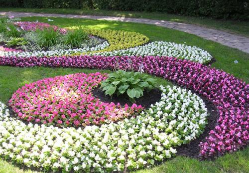 Какие цветы сажать весной, чтобы цвели все лето. Цветущие все лето низкорослые цветы для клумбы, фото и названия