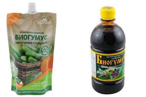 Биогумус жидкий для огурцов. Применение Биогумуса для огурцов в сухом и жидком виде