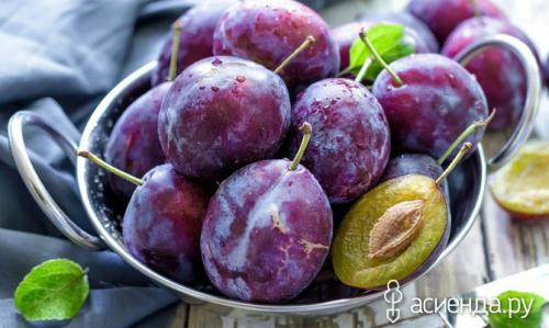 Можно ли делать компот из сливов