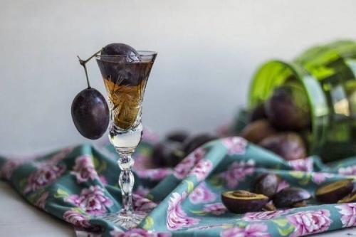 Можно ли делать компот из сливов