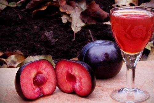 Можно ли делать компот из сливов