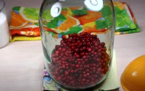 Компот из брусники на зиму — простые и вкусные рецепты