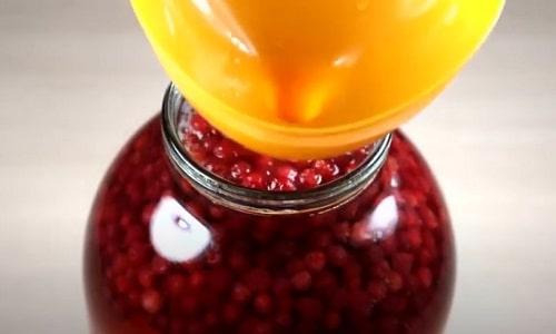 Компот из брусники на зиму — простые и вкусные рецепты