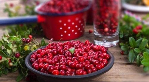 Компот из брусники на зиму — простые и вкусные рецепты