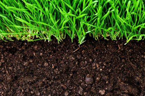 Какая почва на дачном участке. Как определить, какая почва на дачном участке