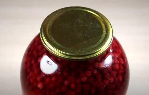 Компот из брусники на зиму — простые и вкусные рецепты