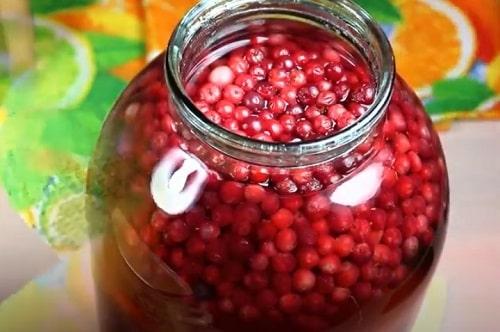 Компот из брусники на зиму — простые и вкусные рецепты