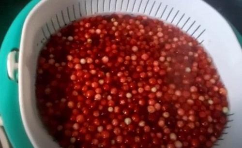 Компот из брусники на зиму — простые и вкусные рецепты