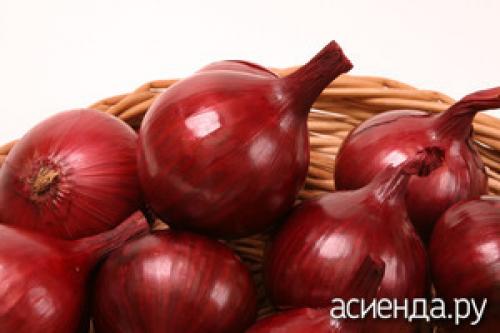 Сладкие сорта белого лука. Лучшие сладкие сорта лука