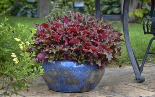 Посадка цветов в зиму. Правила осенних работ 07 Посадка цветов в зиму. Правила осенних работ 07