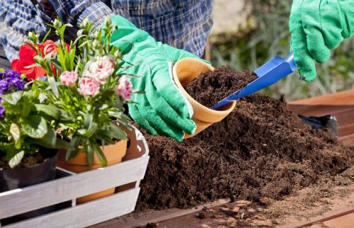 Как сажать цветы под зиму. Подзимний посев семян — просто и удобно