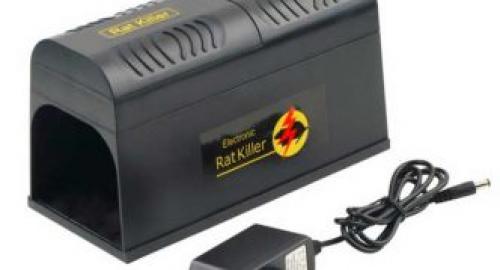 Какие виды ловушек можно использовать для ловли мышей. Как поймать мышь