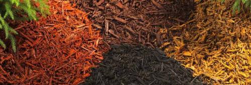 Осенняя посадка многолетних цветов. Выбираем время для посадки