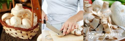 Как правильно чистить грибы перед приготовлением
