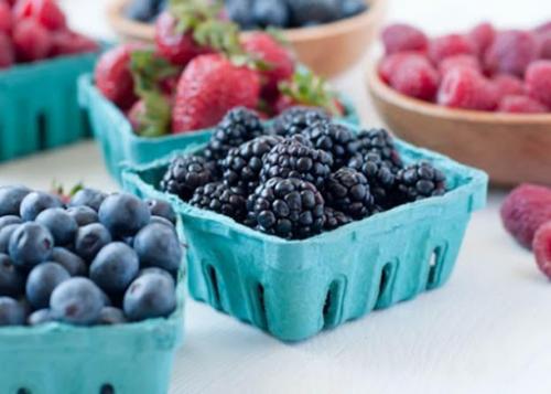 Как правильно сохранять рецепты сливы на зиму