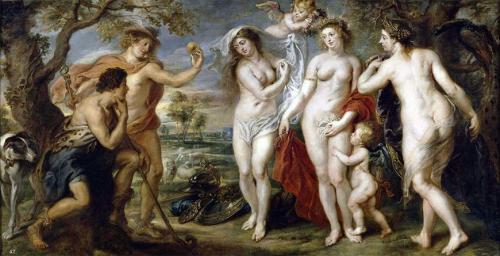 Стебель яблони. Яблоня – описание, посадка, уход