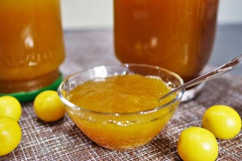 Какие виды консервирования используются для желтых слив на зиму