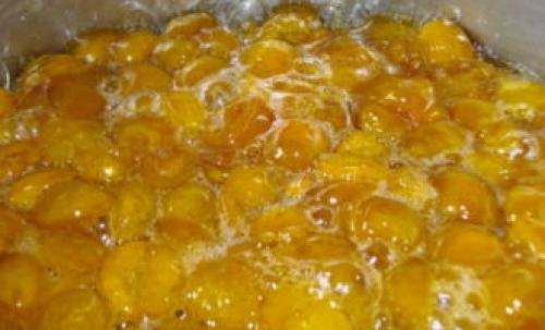 Какие виды консервирования используются для желтых слив на зиму