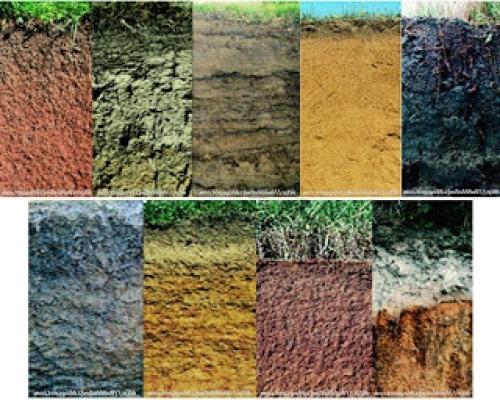 Как определить тип почвы для фундамента. Типы грунта