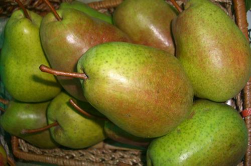 Какие сорта груши наиболее пригодны для посадки осенью. Какая груша слаще? Выбираем лучшие осенние сорта