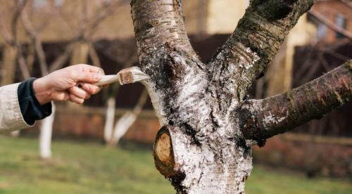 Работа в огороде в сентябре. 10 самых важных дел в огороде в сентябре 08 Работа в огороде в сентябре. 10 самых важных дел в огороде в сентябре 08
