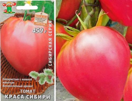 Низкорослые томаты для открытого грунта сибири. Сорта томатов Сибирской селекции: 38 сортов с фото и описаниями