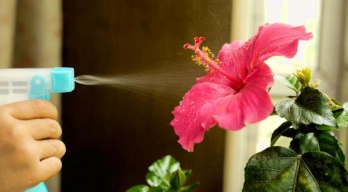 Работа в огороде в сентябре. 10 самых важных дел в огороде в сентябре 09 Работа в огороде в сентябре. 10 самых важных дел в огороде в сентябре 09