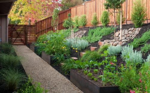 Какие овощи могут мешать друг другу в защите от сорняков