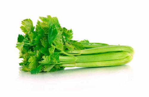 Улучшайте урожайность огорода с помощью соседства овощей на грядках 15 Улучшайте урожайность огорода с помощью соседства овощей на грядках 15