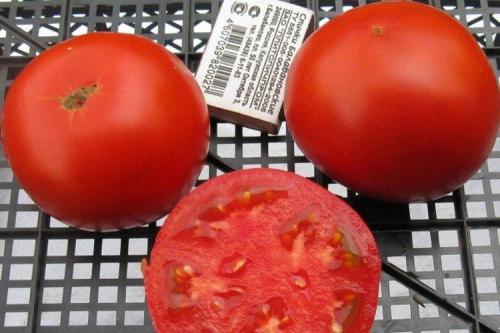 Крупноплодные сорта томатов для открытого грунта. Лучшие сорта томатов для открытого грунта: фото, названия и описания (каталог)