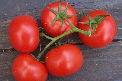Крупноплодные сорта томатов для открытого грунта. Лучшие сорта томатов для открытого грунта: фото, названия и описания (каталог)