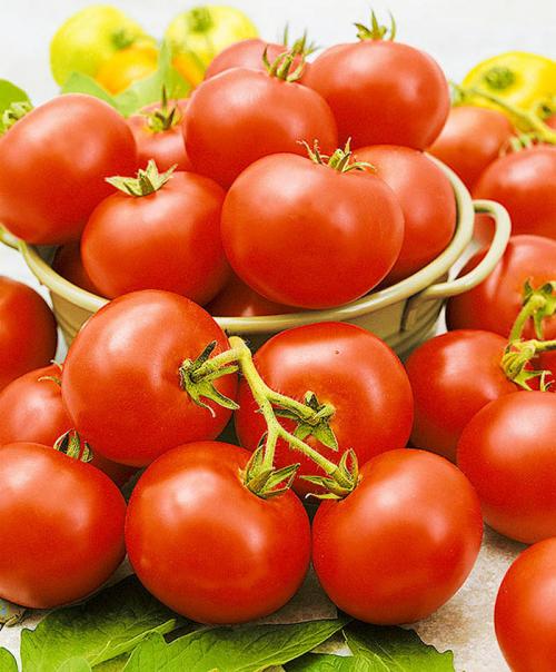 Раннеспелые крупные сорта томатов. Ранние сорта томатов — ТОП-33 сортов 2023 года