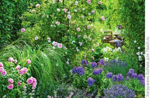 Какие растения можно сажать рядом, чтобы они создавали красивый аромат. Парфюмерный набор, или Как создать в саду аромацветник