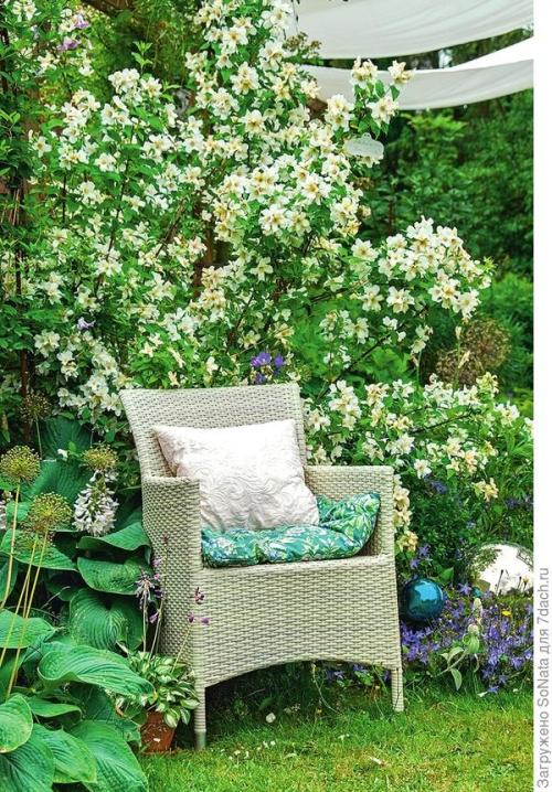 Какие растения можно сажать рядом, чтобы они создавали красивый аромат. Парфюмерный набор, или Как создать в саду аромацветник