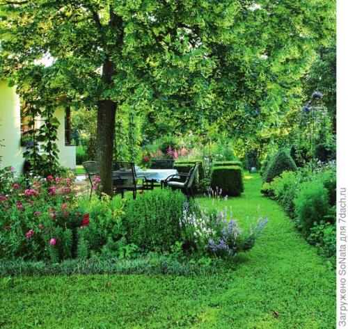 Какие растения можно сажать рядом, чтобы они создавали красивый аромат. Парфюмерный набор, или Как создать в саду аромацветник