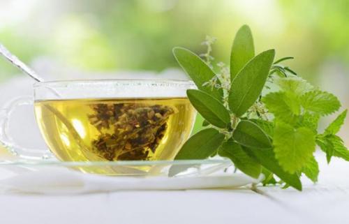 Соседи в саду: 10 пар растений, которые хорошо уживаются рядом 11