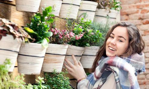 Соседи в саду: 10 пар растений, которые хорошо уживаются рядом 01