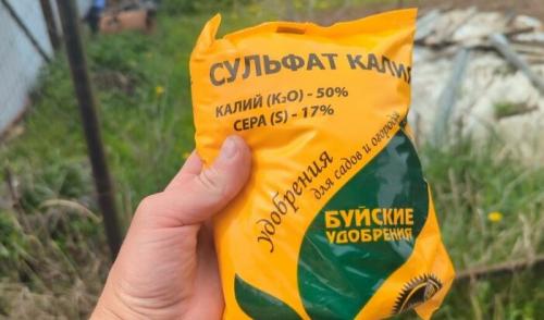 Какие удобрения наиболее эффективны для роста крупной моркови. Чем я подкармливаю морковь в августе для того, чтобы корнеплоды росли сладкие, тяжелые, хрустящие, большие