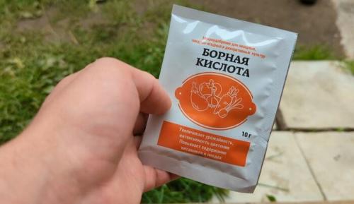 Какие удобрения наиболее эффективны для роста крупной моркови. Чем я подкармливаю морковь в августе для того, чтобы корнеплоды росли сладкие, тяжелые, хрустящие, большие