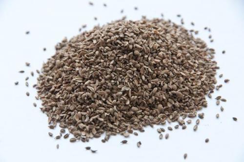 Какие практики ухода наиболее эффективны для получения больших плодов моркови. Как вырастить крупную и сладкую морковку