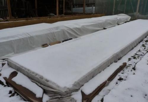 Какие цветы можно сажать под зиму. 12 цветов, которые можно посадить осенью под зиму + Правила посадки