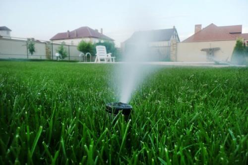 Капельный полив на даче. Капельный полив: капельницы, спринклеры, микроразбрызгиватели