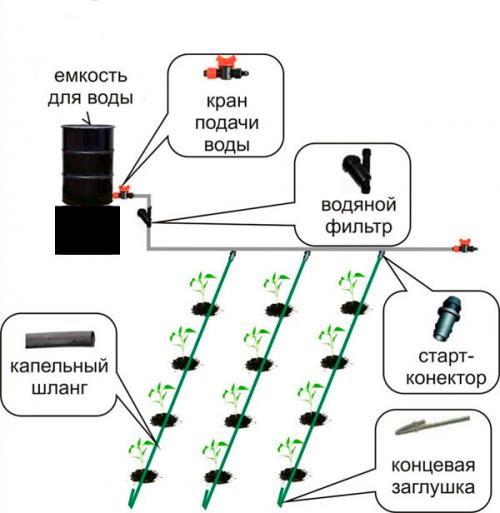 Самый простой капельный полив. Устройство капельного полива.