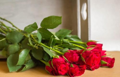 Уход за розой зимой в домашних условиях. Комнатная роза - уход зимой 16 Уход за розой зимой в домашних условиях. Комнатная роза - уход зимой 16