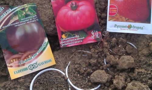 Что посеять под зиму на своем участке. Подготовка грядок 02