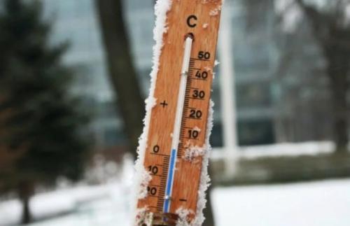 Как обрезать розы на зиму. Добавление статьи в новую подборку 12 Как обрезать розы на зиму. Добавление статьи в новую подборку 12