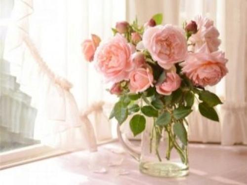 Как ухаживать за розами. Добавление статьи в новую подборку 02