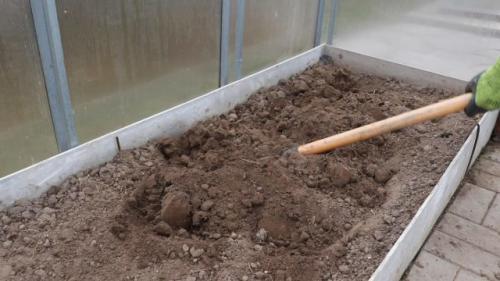 Посадка зелени под зиму в теплице. Посадка семян под зиму в теплице: пошаговая инструкция