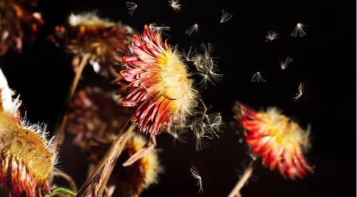 Работы на даче в сентябре в средней полосе. Какие работы требуется провести на огороде в сентябре, чтобы завершить сезон без потерь и проблем 21 Работы на даче в сентябре в средней полосе. Какие работы требуется провести на огороде в сентябре, чтобы завершить сезон без потерь и проблем 21